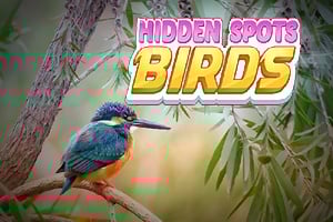 game-img